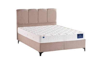 Dora & Naturel 3'lü Set - 