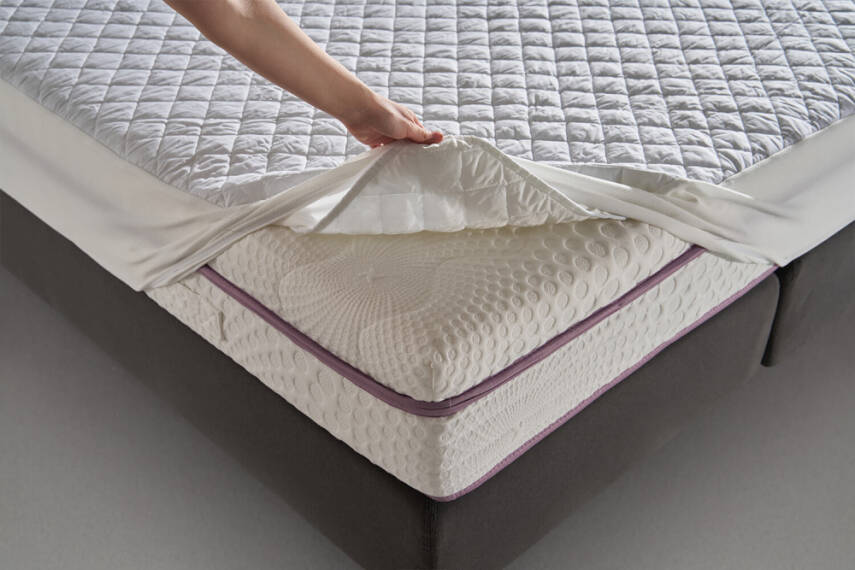 Ergo Kapitoneli Fitted Alez - 1