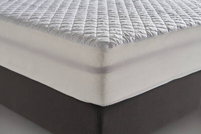 Ergo Kapitoneli Fitted Alez - 2