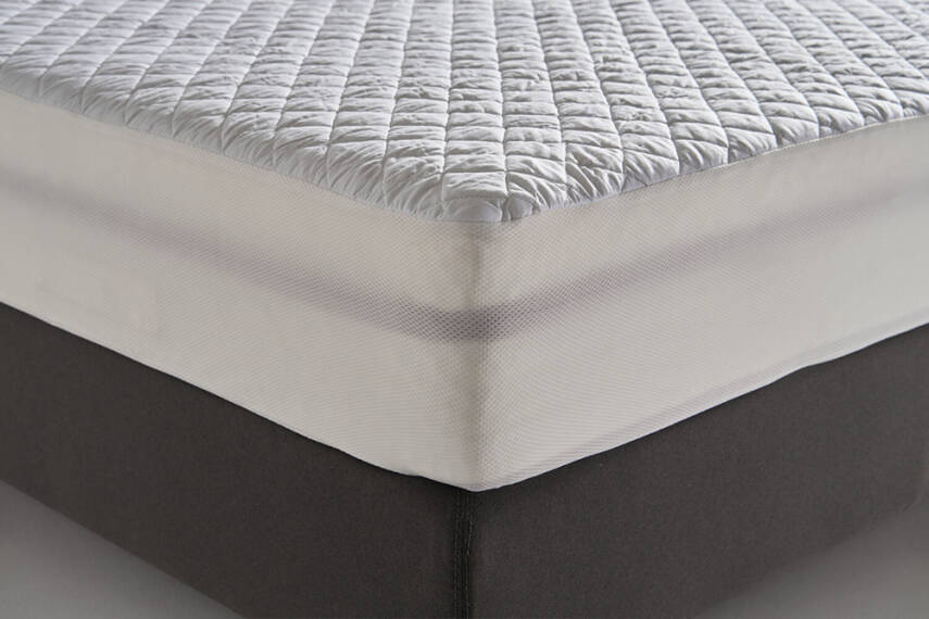 Ergo Kapitoneli Fitted Alez - 2