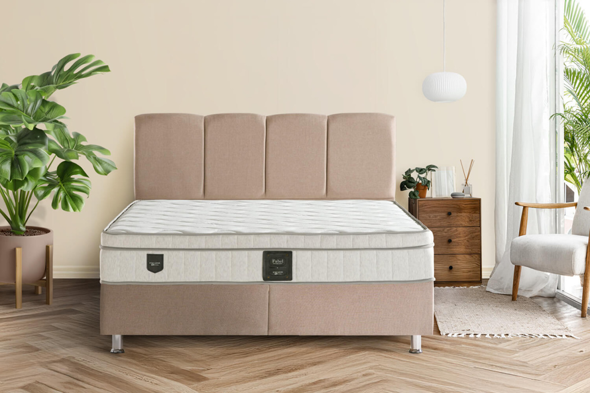 Dora & Fabel Set