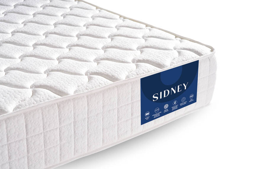 Sidney - 4