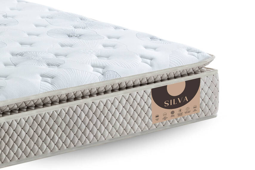 Silva - 4
