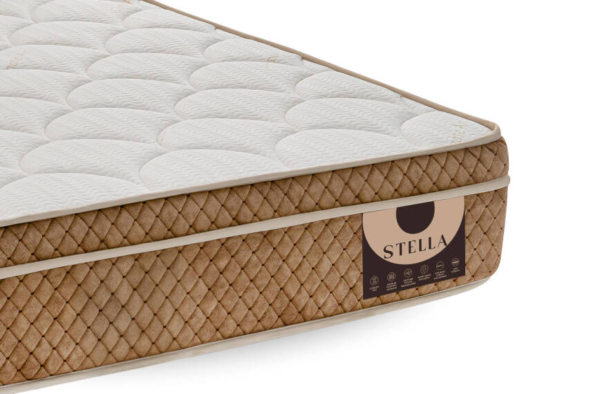 Stella - 4